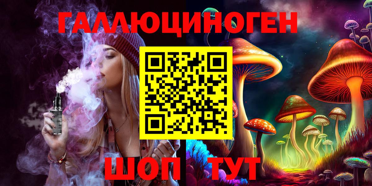 Фрязино  Псилоцибиновые грибы Cubensis  Вход с VPN 